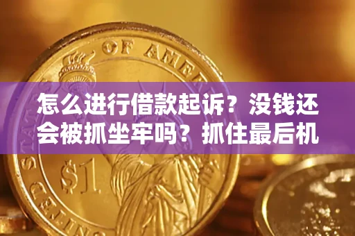 济南怎么进行借款起诉？没钱还会被抓坐牢吗？抓住最后机会！