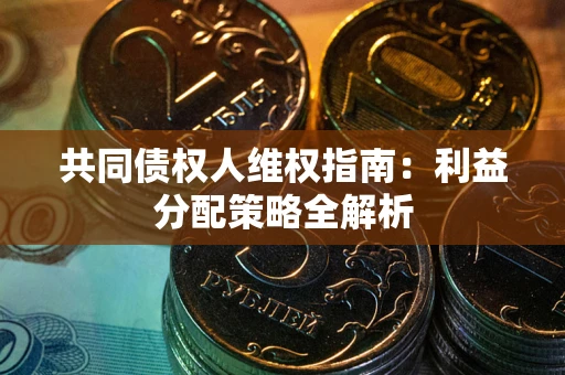 济南共同债权人维权指南：利益分配策略全解析