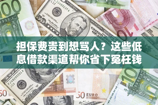 济南担保费贵到想骂人？这些低息借款渠道帮你省下冤枉钱