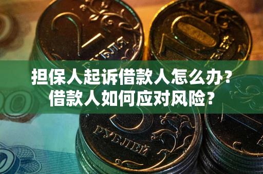济南担保人起诉借款人怎么办？借款人如何应对风险？