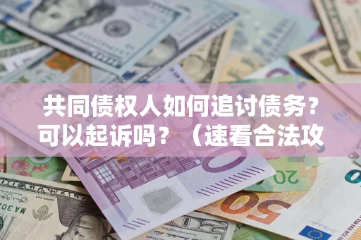 济南共同债权人如何追讨债务？可以起诉吗？（速看合法攻略）