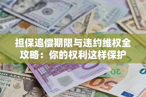 济南担保追偿期限与违约维权全攻略：你的权利这样保护